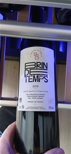 Sydvestfrankrig Gaillac Domaine Brin Brin de Temps 2015