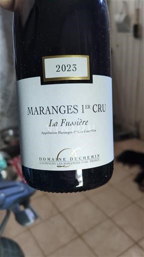 Borgoña No especificado Premier Cru Domaine Duchemin La Fussière 2023