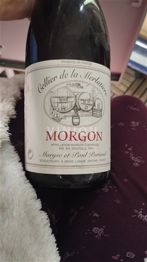Beaujolais Morgon Cellier de la Merlatière 2003