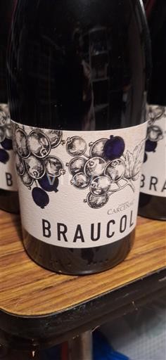Viner Rouge sec Braucol Carcenac 2019 Frankrike Sydväst Gaillac AOC