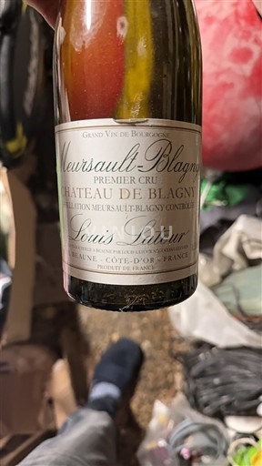 Bourgogne Ikke specificeret Premier Cru Château Blagny 2017