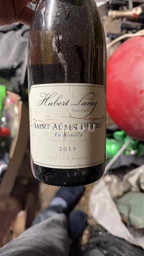 Borgoña San Aubin Premier Cru Hubert Lamy En Remilly 2015
