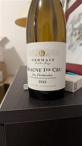 Burgundsko Beaune Premier Cru Germain Les Pertuisots 2022