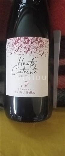 Loire-dalen Saumur Domaine Haut Bellay Hauts de Cataire 2022