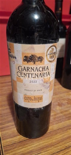 Aragonien Campo de Borja Coto de Hayas Garnacha Centenaria 2022