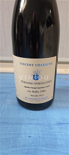 Borgogna Pernand-Vergelesses Vincent Charache Les Belles Tuiles 2023
