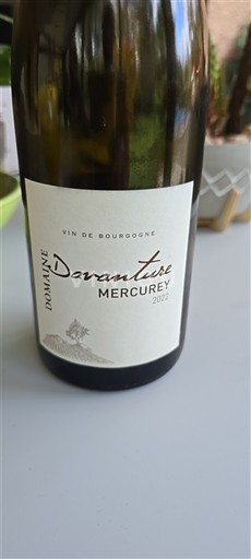Borgogna Mercurey Domaine Daventure 2022