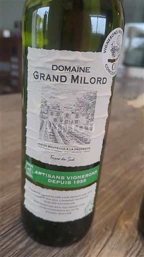 Linguadoca e Rossiglione Paese d'Oc Domaine Grand Milord Senza annata