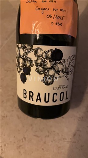 Tây Nam Fronton Domaine Carcenac Braucol 2022