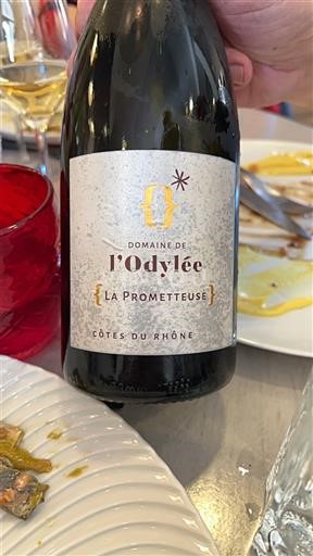 Wijnen Blanc demi-sec La Prometteuse Domaine L'Odylée 2023 Frankrijk Rhônevallei Côtes-du-rhône AOC