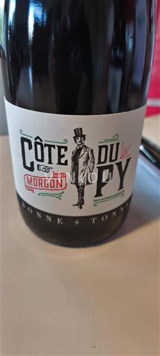 Beaujolais Morgon Domaine Bonne Tonne Côte du Py 2023