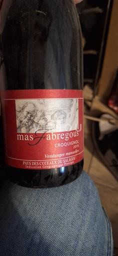 Languedoc Mas Fabregous Croquignol 2019