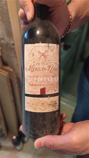 Bordeaux Not Specified Château Moulin Neuf 2007