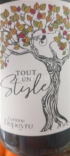 Sudoeste Gaillac Corinne Depayre Tout un Style Sin añada