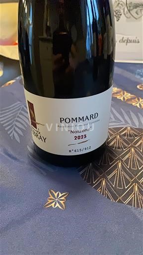 Borgoña Pommard Domaine Surey Noizons 2023