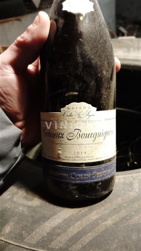 Bourgogne Bourgogne skråninger Maison Colin Seguin 2014