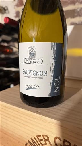 Thung lũng sông Loire Thung lũng Loire Vignoble Drouard NOE 2023