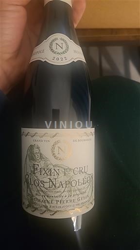 Bourgogne Premier Cru Domaine Pierre Gelin Clos Napoléon 2022