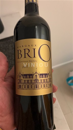 Bordeaux Margaux Cantenac Brown Brio de Cantenac Brown 2017
