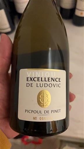 Languedoque Picpoul-de-Pinet Excellence de Ludovic Não Sazonado