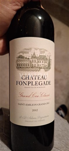 Bordeaux Saint-Émilion Grand Cru Château Fonplégade 2012