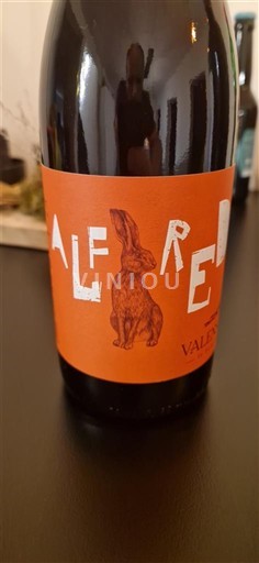 Languedoc et Roussillon Pays d'oc Domaine Valensac Alfred 2024