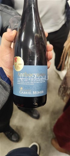 Dolina Loare Saint-Pourçain Gabriel Monier Anthocyanes Neleten.