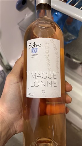 Alpe in reke Rona Ardeški vinogradni grici Domaine De la Selve Maguelonne 2020