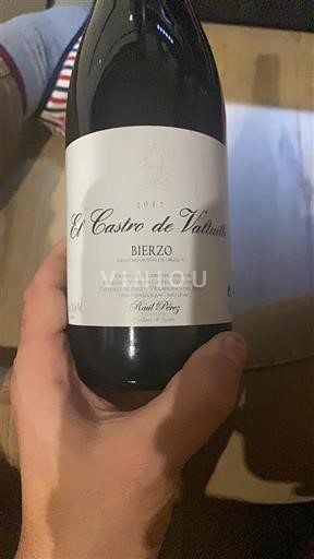 Vine Rouge sec El Castro de Valtuille 2017 Spanien Castilien og León Bierzo DO