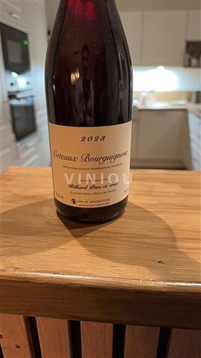Bourgogne Bourgognebackar Billaud Père et Fils 2023