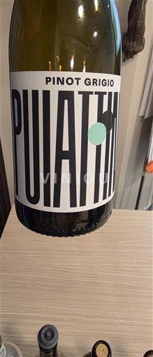 Friuli-Venezia Giulia Venezia Giulia Puiatti Puiattino Pinot Grigio 2024