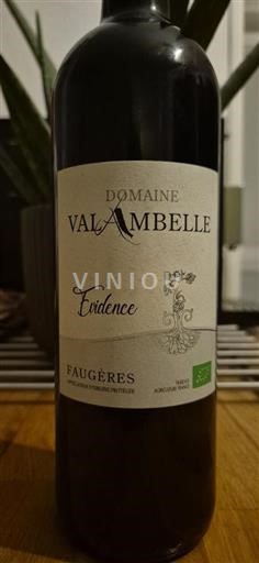 Languedoc Faugères Domaine Valambelle Évidence 2021