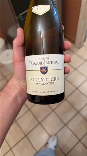 Bourgogne Ikke specificeret Premier Cru Domaine Dureuil-Janthial Margotes 2022