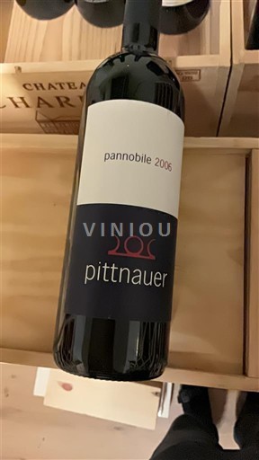 Burgenland Neusiedlersee DAC Pittnauer Pannobile 2006