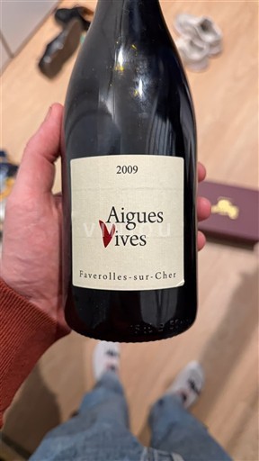 Dolina Loare Touraine Aigues Vives 2009