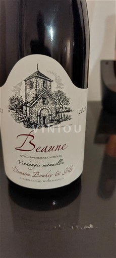 Burgundsko Beaune Domaine Bouchy & Fils 2021