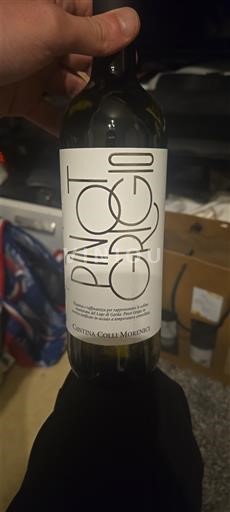 Vénétie Không được chỉ định Cantina Colli Morenici Pinot Grigio 2024