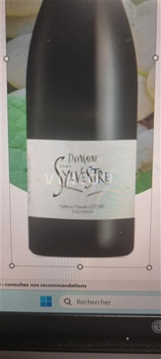 Languedoc Domaine Saint Sylvestre Saint Sylvestre 2021
