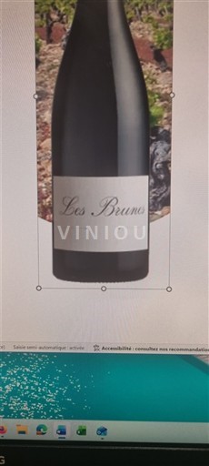 Languedoc ja Roussillon Hérault Domaine Des Creisses - Les Brunes Les Brunes 2021