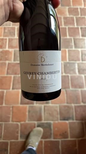 Borgogna Gevrey-Chambertin Domaine Berthelmot 2022