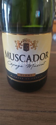 Languedoc Muscador Cépage Muscat Ohne Jahrgang