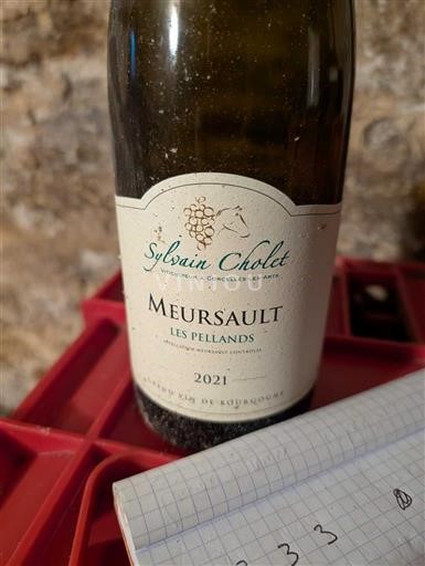 Bourgogne Meursault Sylvain Cholet Les Pellands 2021