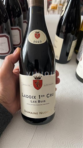 Bourgogne Premier Cru Domaine Nudant Les Buis 2023
