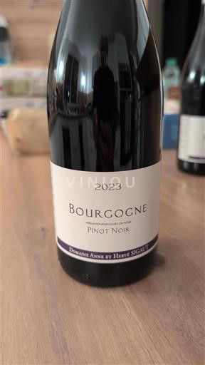 Bourgogne Domaine Anne et Hervé Sigaut Pinot Noir 2023