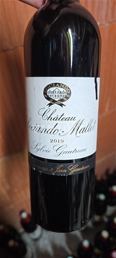 Bordeaux Haut-Médoc Château Sociando-Mallet 2019