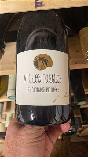 Valle del Loira No especificado Les Grandes Plantées 2018