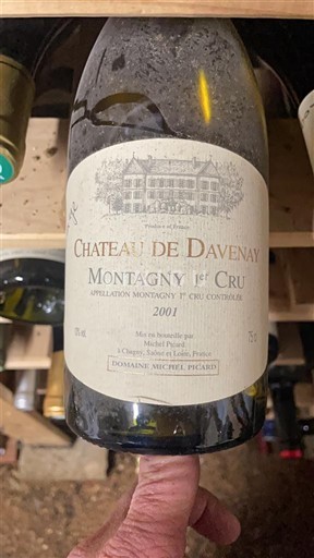 Burgundsko Nespecifikováno Premier Cru Château Davenay 2001