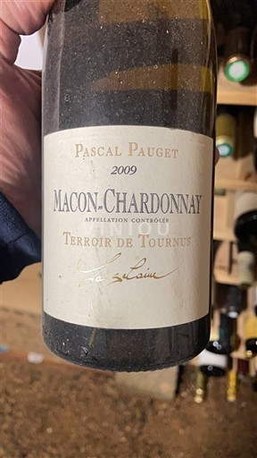 Burgundi Mâcon ja Mâcon-kylät Pascal Pauget Terroir de Tournus 2009