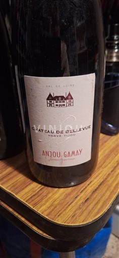 Vallée de la Loire Anjou-gamay Château Bellevue Non Millésimé