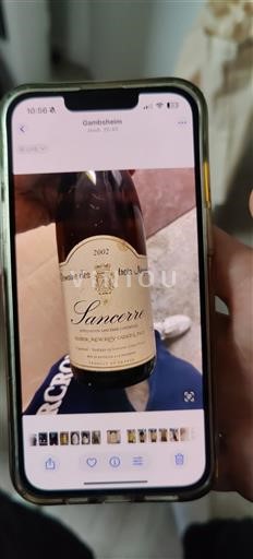 Valle del Loira Sancerre Domaine Des Ercis Vieux 2002